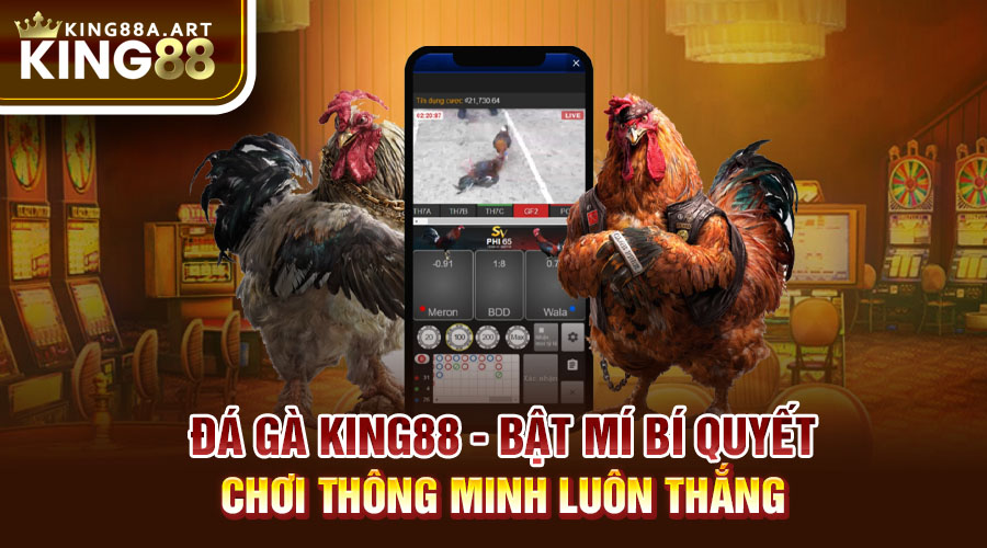 Đá Gà King88 Bất Mí Bí Quyết Chơi Luôn Thắng