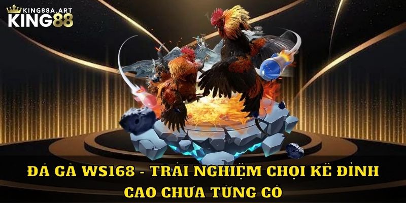 Đá Gà WS168 Trải Nghiệm Đỉnh Cao Tại King88