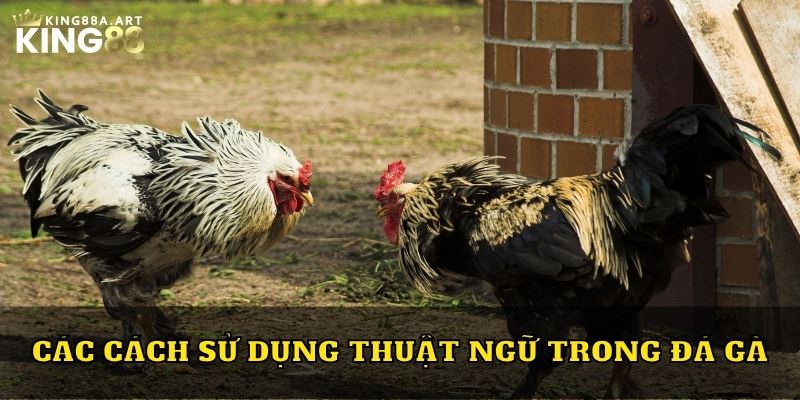 Các cách sử dụng thuật ngữ trong đá gà