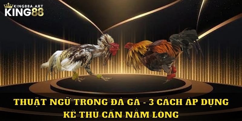 Thuật ngữ trong đá gà 3 cách áp dụng để chiến thắng